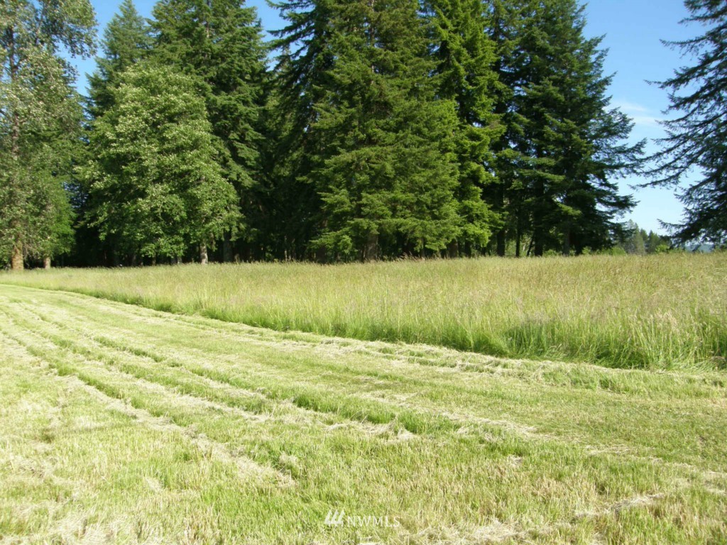 124 Newman Creek Road Elma, WA 98541 - Photo 1 of 15 Gallery Image 1