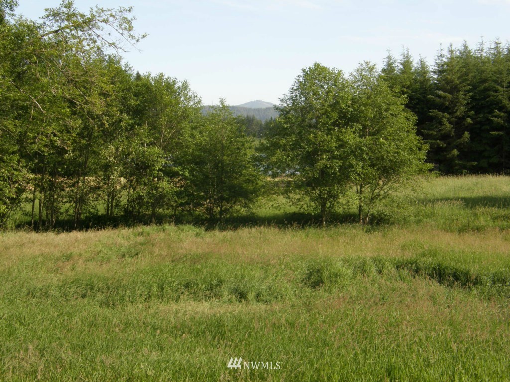 124 Newman Creek Road Elma, WA 98541 - Photo 2 of 15 Gallery Image 2