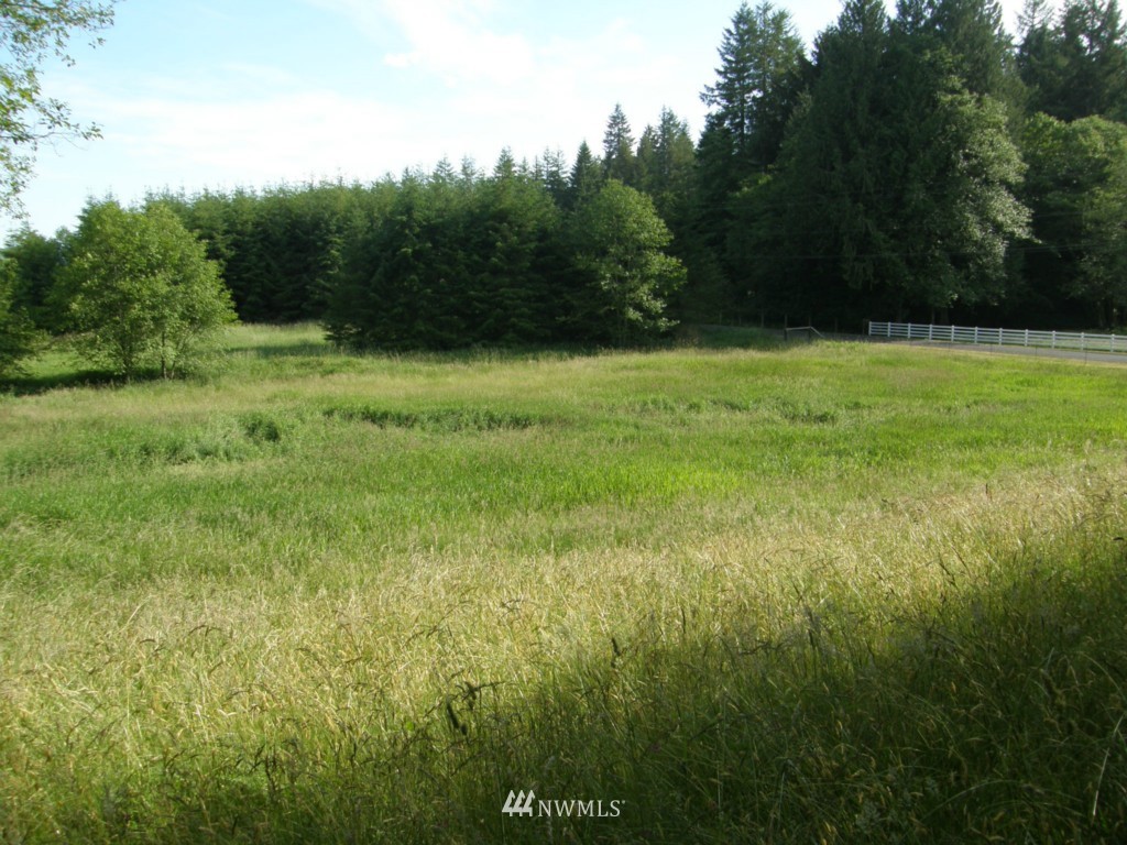 124 Newman Creek Road Elma, WA 98541 - Photo 13 of 15 Gallery Image 13