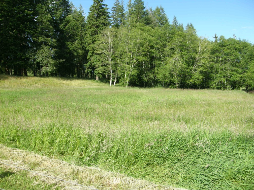 124 Newman Creek Road Elma, WA 98541 - Photo 3 of 15 Gallery Image 3