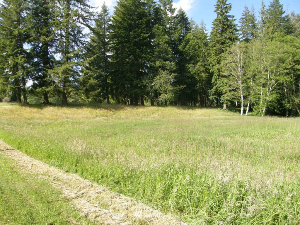 124 Newman Creek Road Elma, WA 98541 - Photo 5 of 15 Gallery Image 5