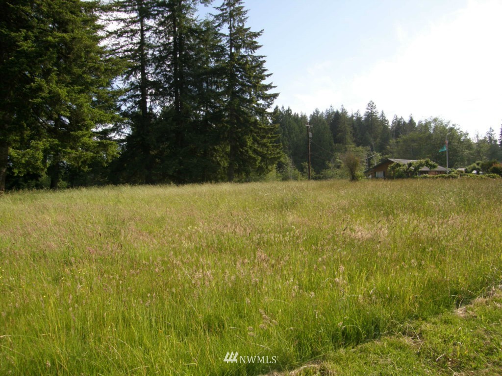 124 Newman Creek Road Elma, WA 98541 - Photo 8 of 15 Gallery Image 8