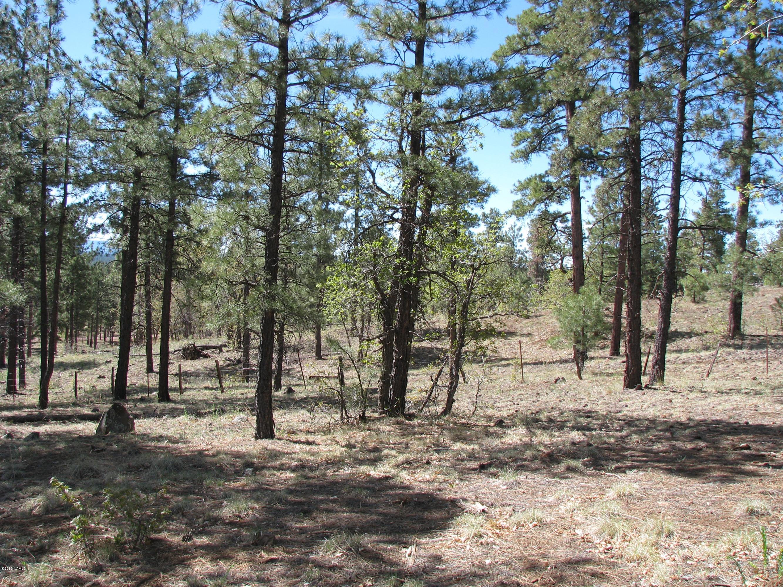 4725 South Flagstaff Ranch Road Flagstaff, AZ 86005 - Photo 6 of 16 Flagstaff Ranch Lots 019