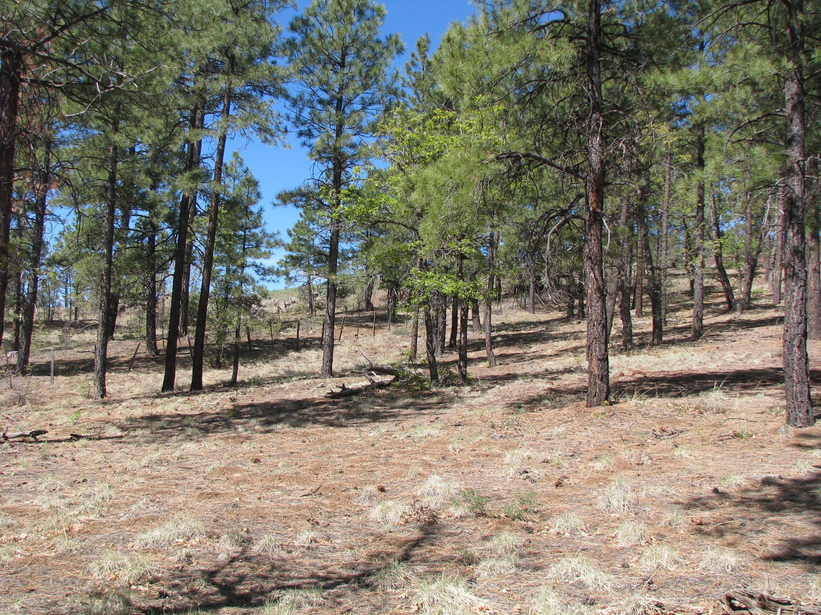 4725 South Flagstaff Ranch Road Flagstaff, AZ 86005 - Photo 8 of 16 Flagstaff Ranch Lots 021