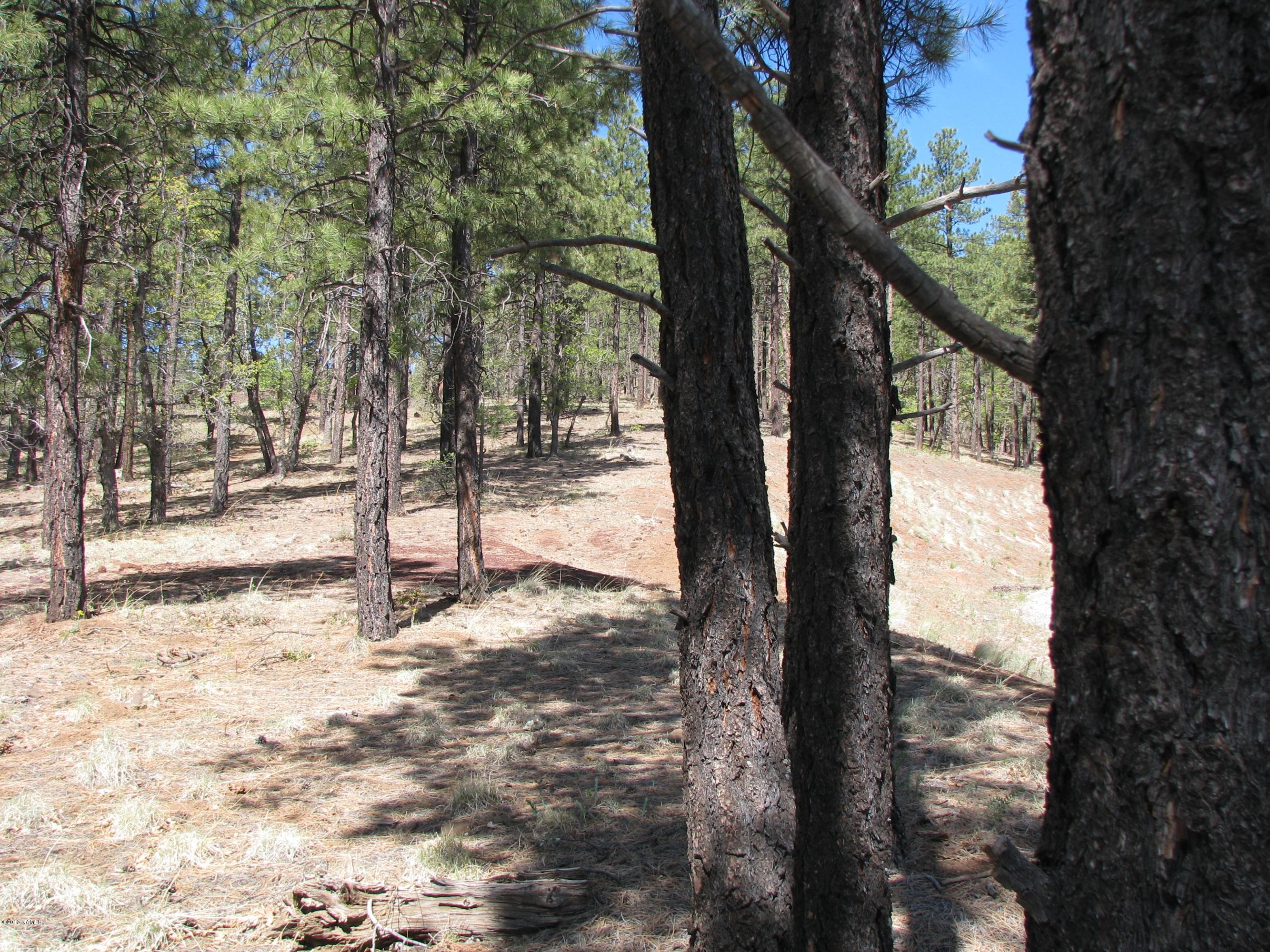 4725 South Flagstaff Ranch Road Flagstaff, AZ 86005 - Photo 9 of 16 Flagstaff Ranch Lots 022