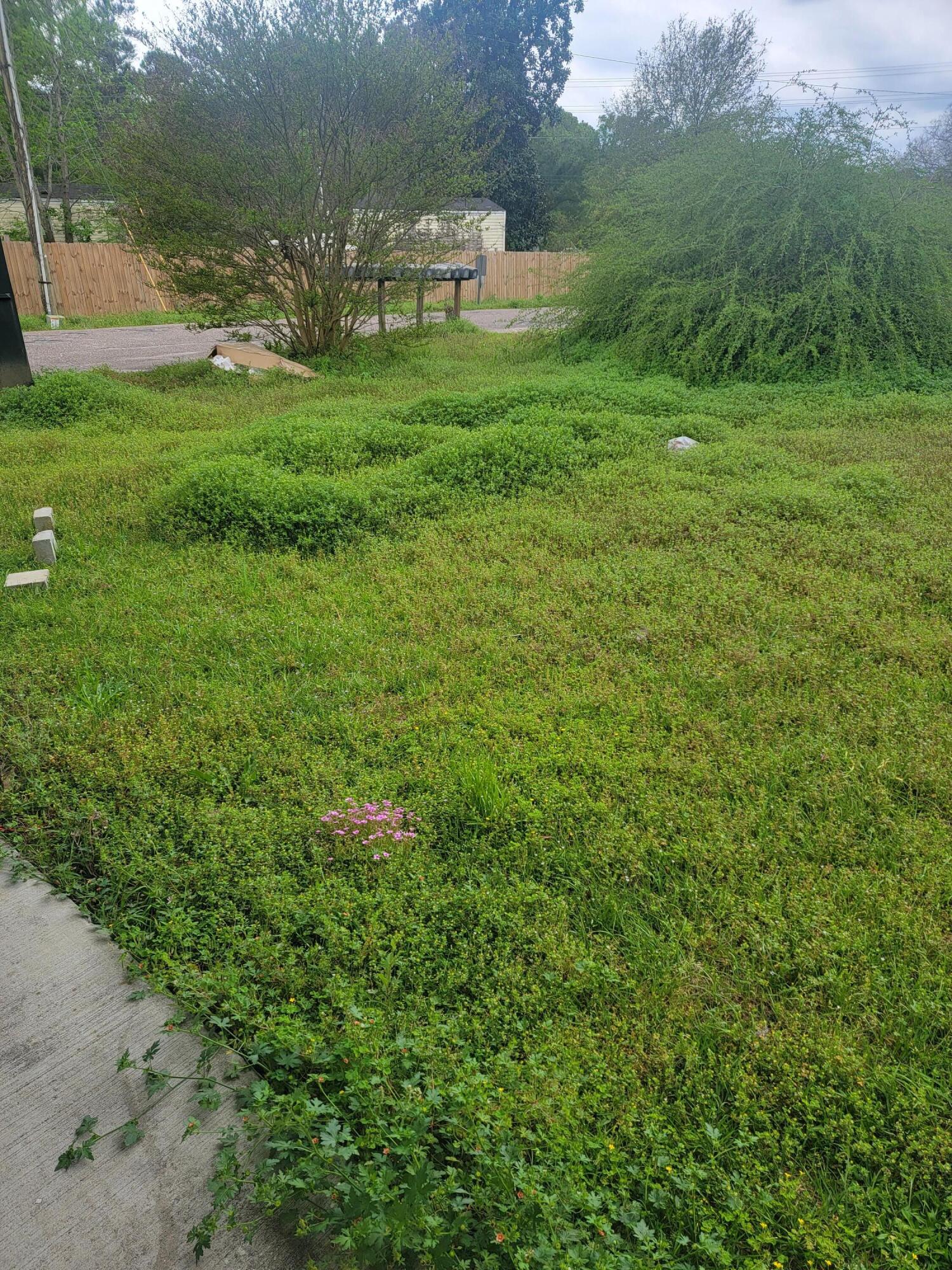 1012 College Park Road, Unit 3 Summerville, SC 29486 - Photo 12 of 12 20220405_121754