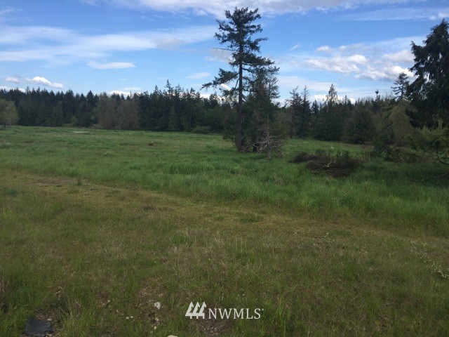 15448 Gibson Road Southwest Tenino, WA 98589 - Photo 2 of 6