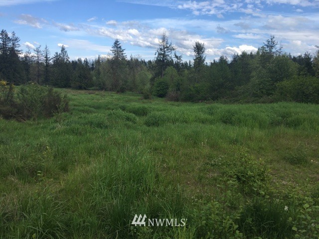 15448 Gibson Road Southwest Tenino, WA 98589 - Photo 3 of 6
