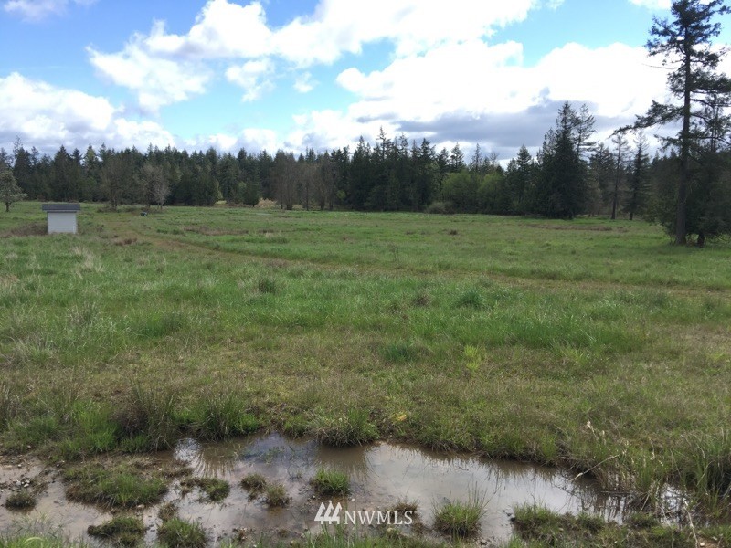 15448 Gibson Road Southwest Tenino, WA 98589 - Photo 4 of 6