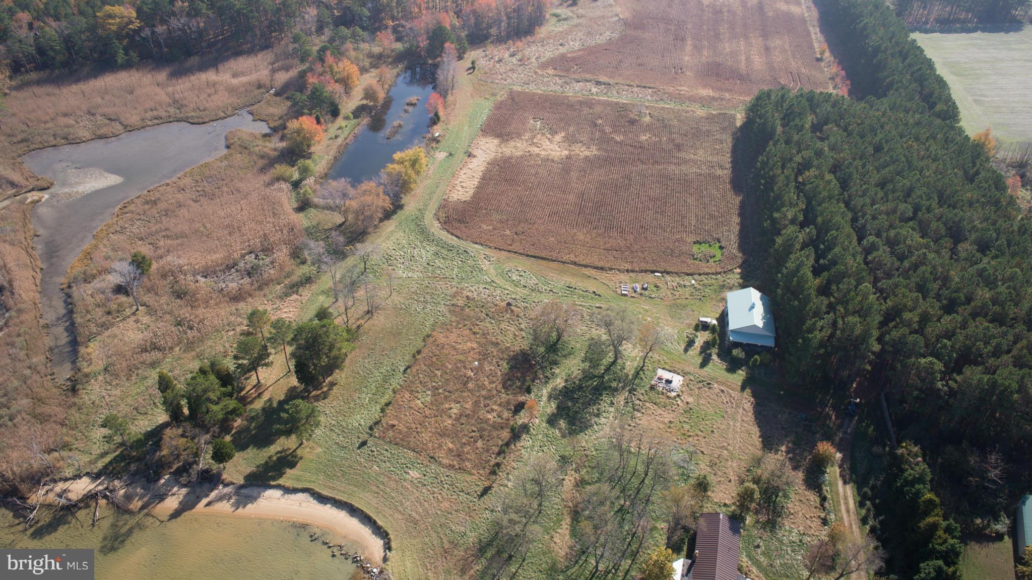 9843 Wades Point Road McDaniel, MD 21647 - Photo 18 of 29 View