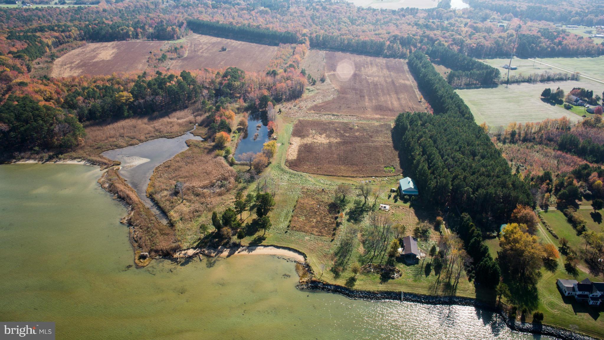 9843 Wades Point Road McDaniel, MD 21647 - Photo 19 of 29 View