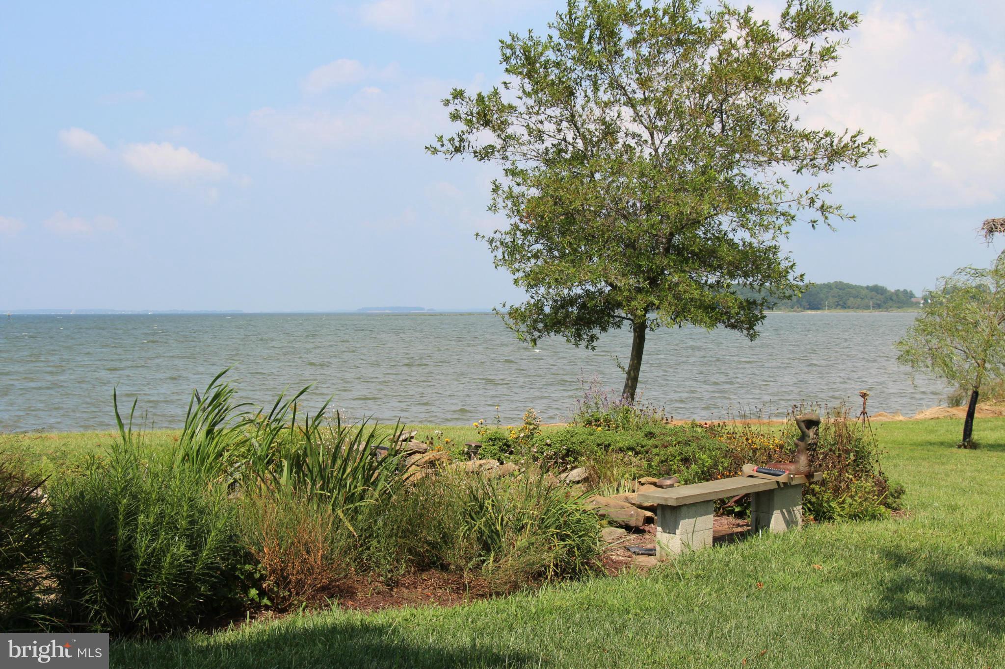 9843 Wades Point Road McDaniel, MD 21647 - Photo 22 of 29 View