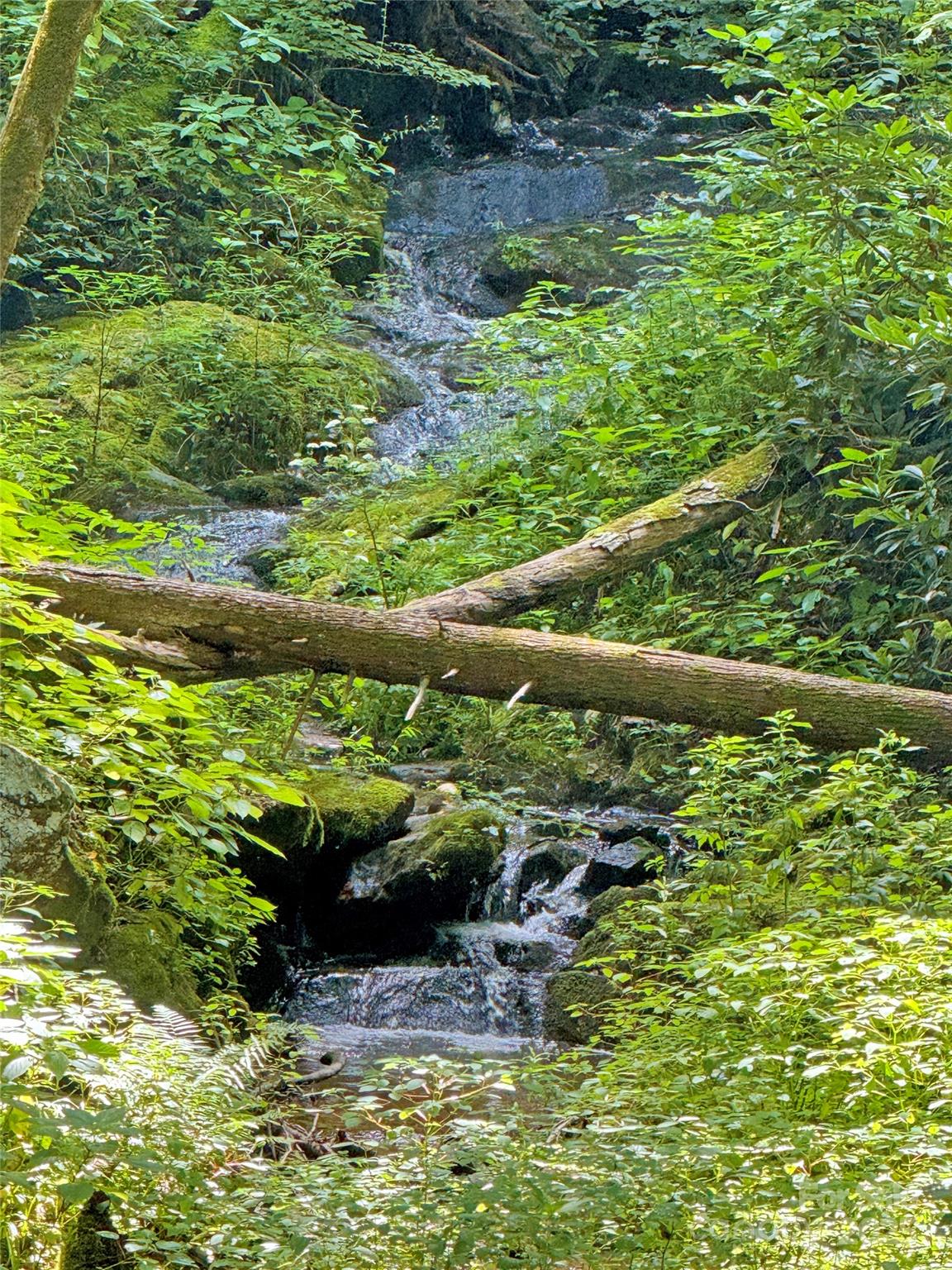 3617 Lonesome Mountain Road Marshall, NC 28753 - Photo 12 of 46 a view of a garden with plants