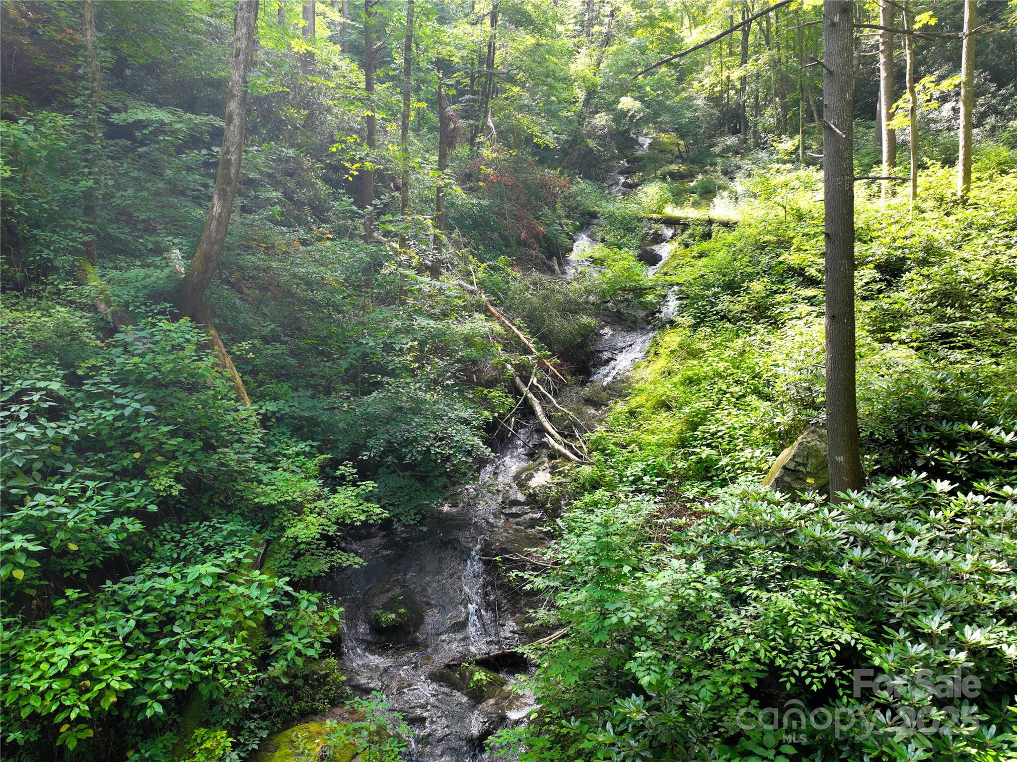 3617 Lonesome Mountain Road Marshall, NC 28753 - Photo 16 of 46