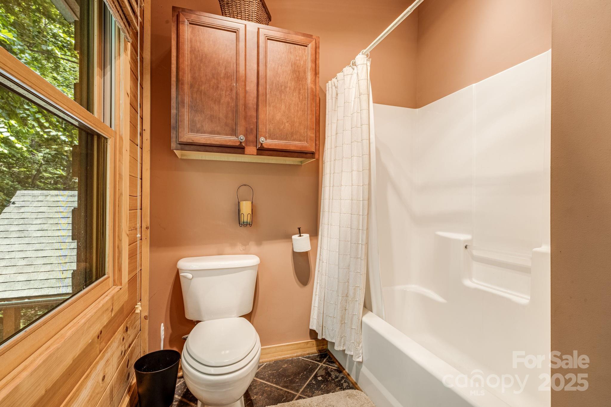 3617 Lonesome Mountain Road Marshall, NC 28753 - Photo 25 of 46 a bathroom with a toilet and a shower