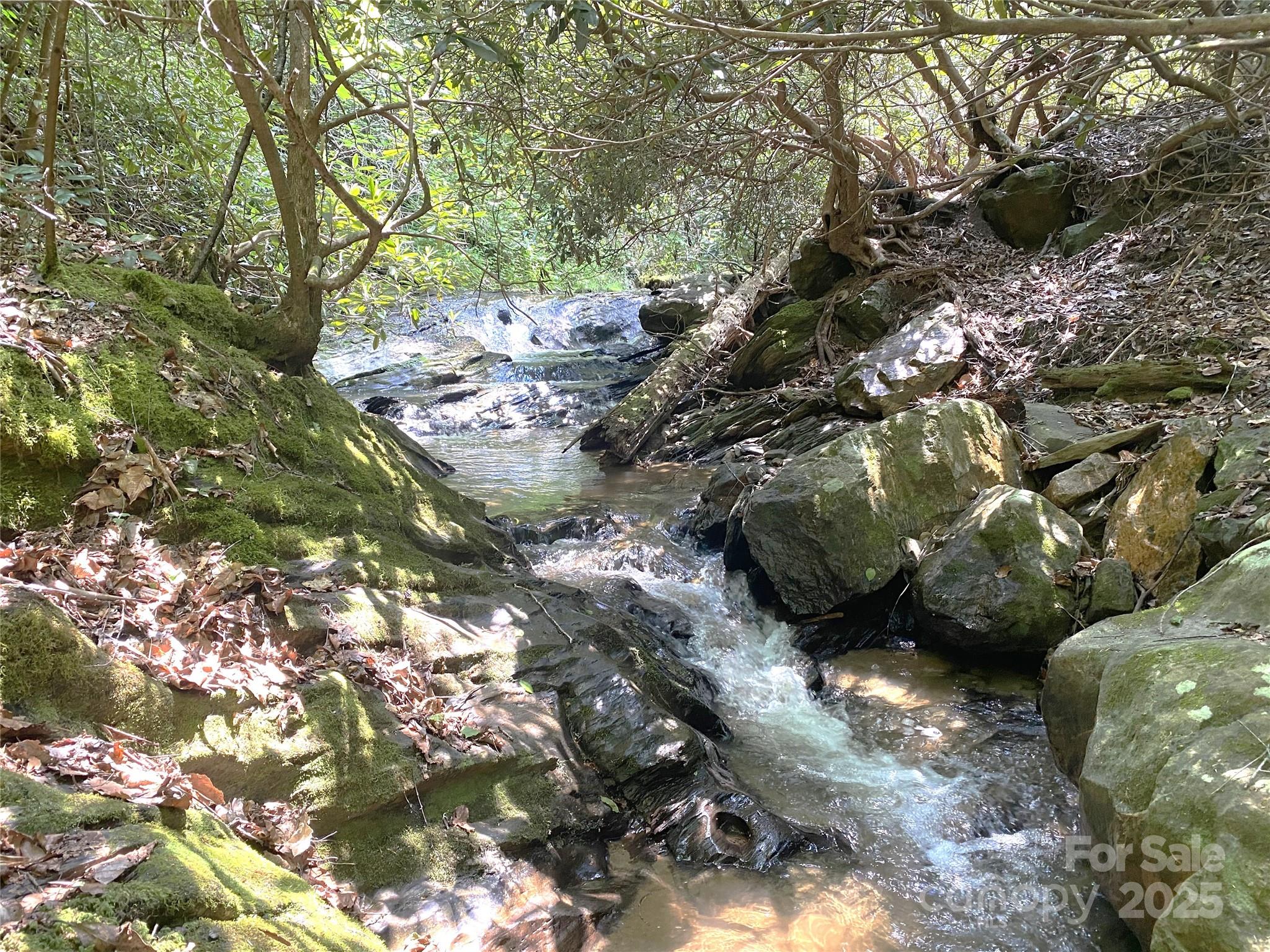 3617 Lonesome Mountain Road Marshall, NC 28753 - Photo 3 of 46