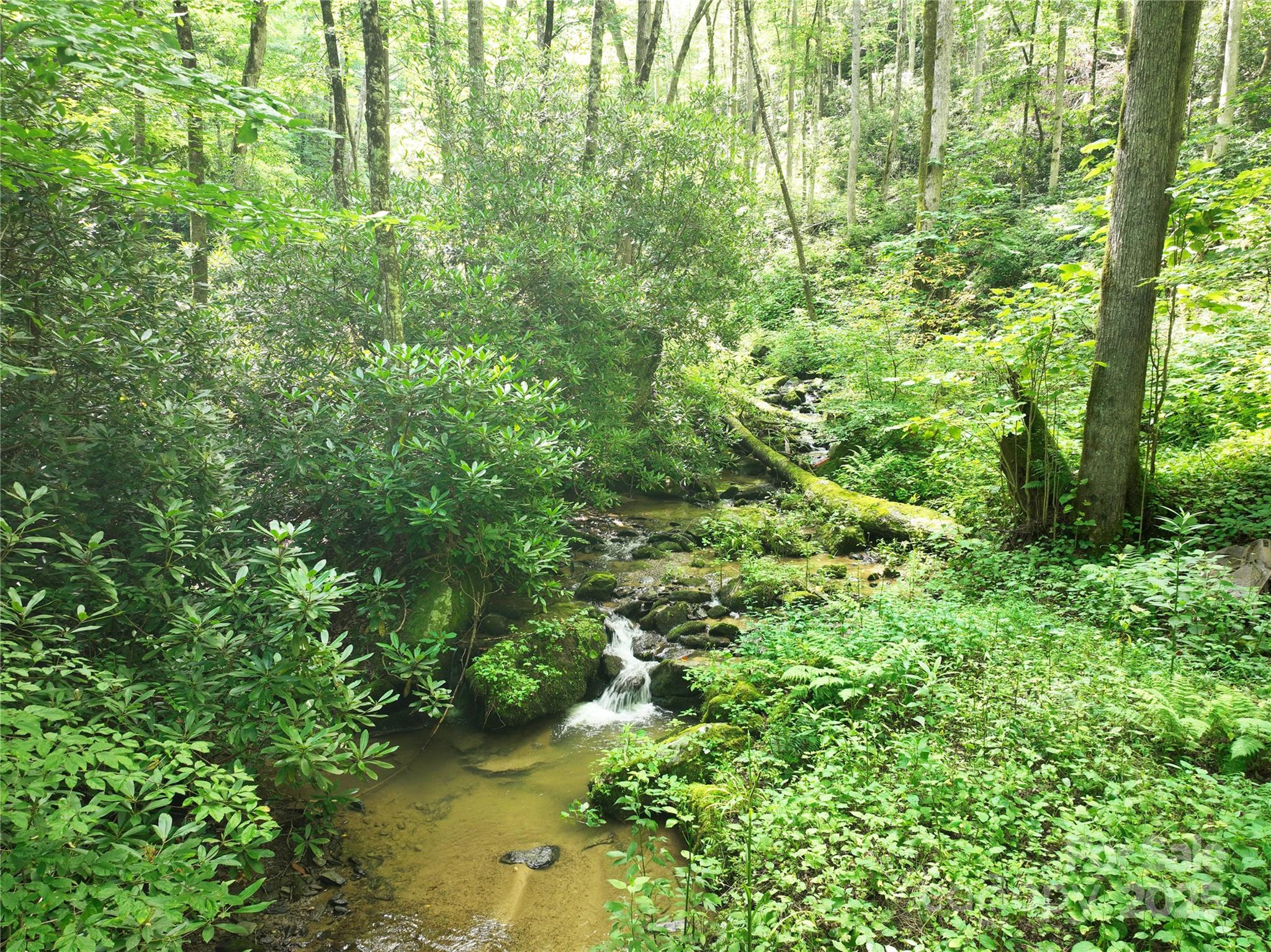 3617 Lonesome Mountain Road Marshall, NC 28753 - Photo 35 of 46 a view of a garden