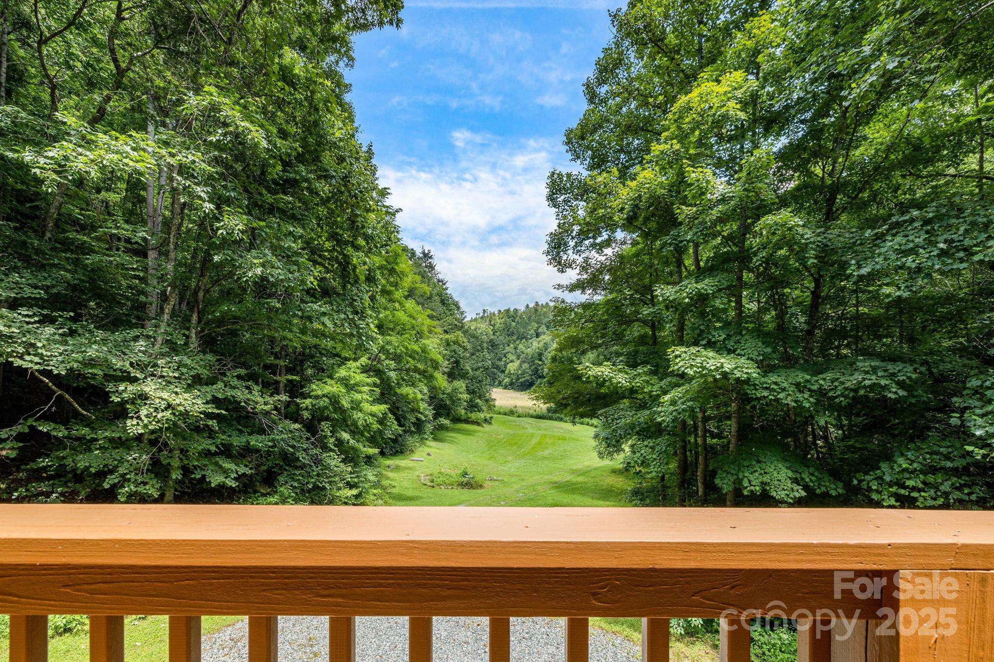 3617 Lonesome Mountain Road Marshall, NC 28753 - Photo 38 of 46 a view of a yard