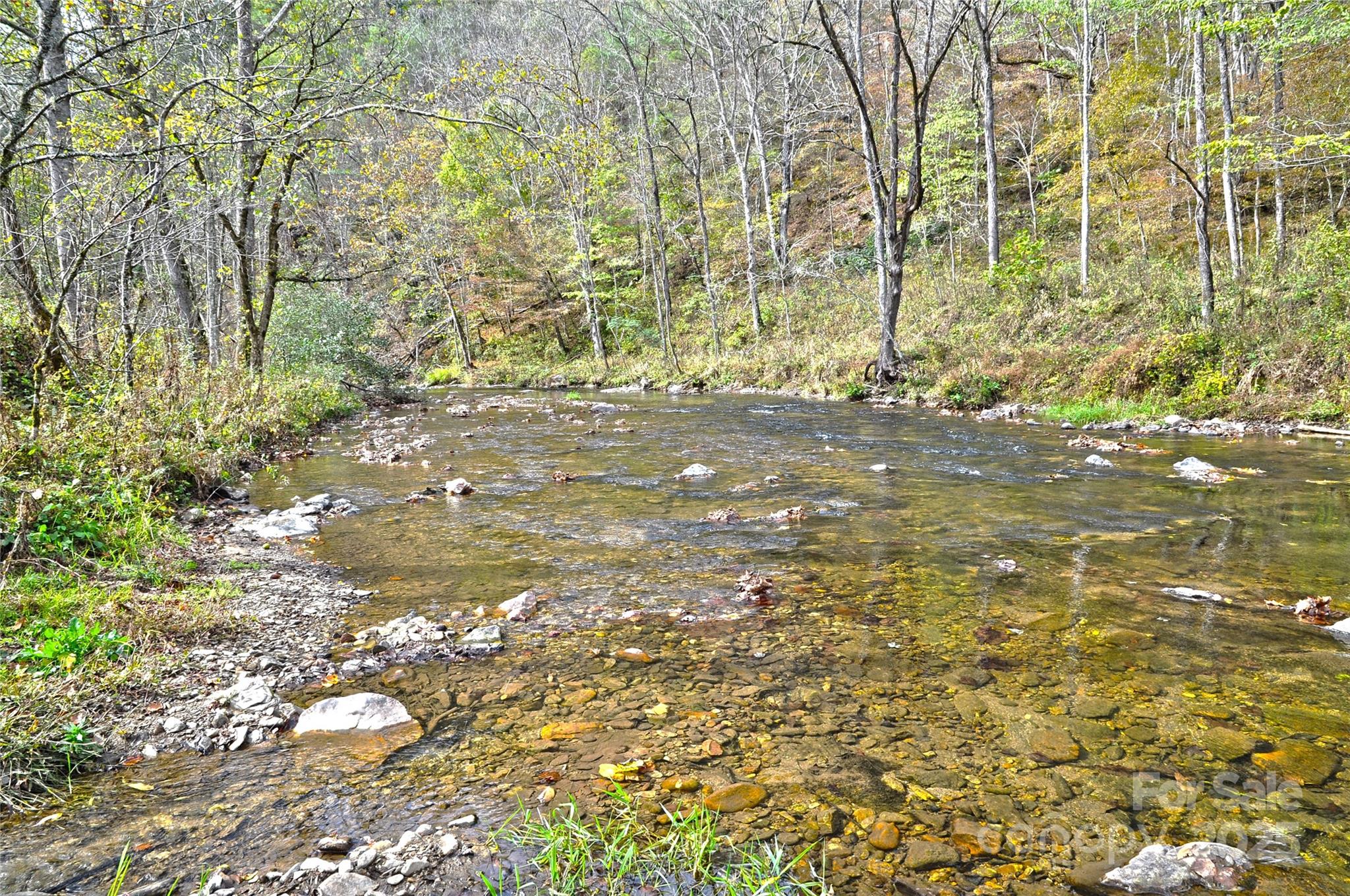 3617 Lonesome Mountain Road Marshall, NC 28753 - Photo 4 of 46 a view of a tree with a yard