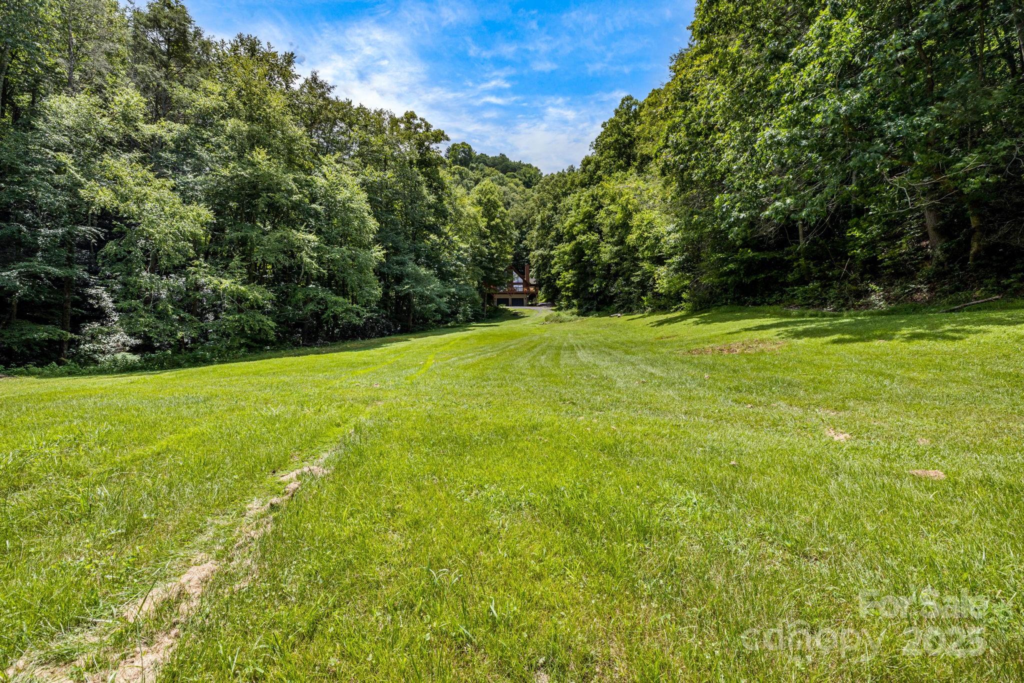 3617 Lonesome Mountain Road Marshall, NC 28753 - Photo 41 of 46 a view of a field with a trees in the background