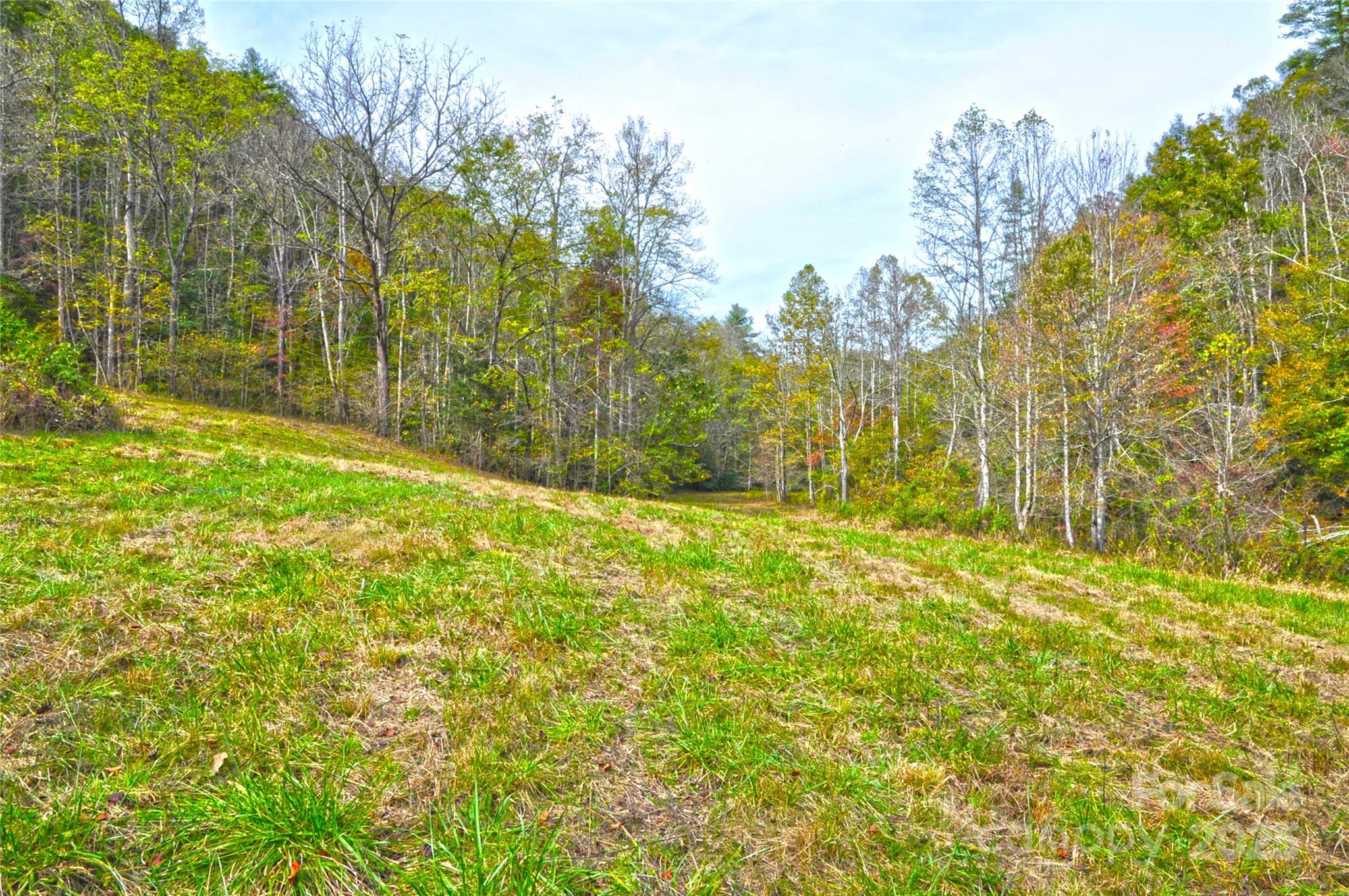 3617 Lonesome Mountain Road Marshall, NC 28753 - Photo 43 of 46 a view of yard with large trees