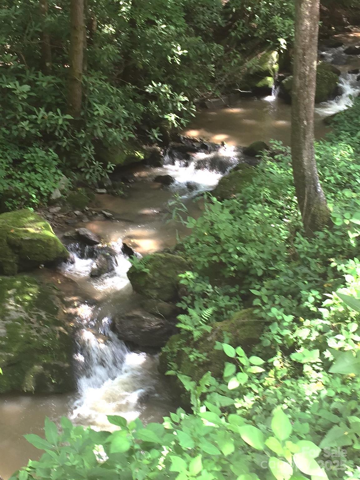 3617 Lonesome Mountain Road Marshall, NC 28753 - Photo 46 of 46 a view of tree