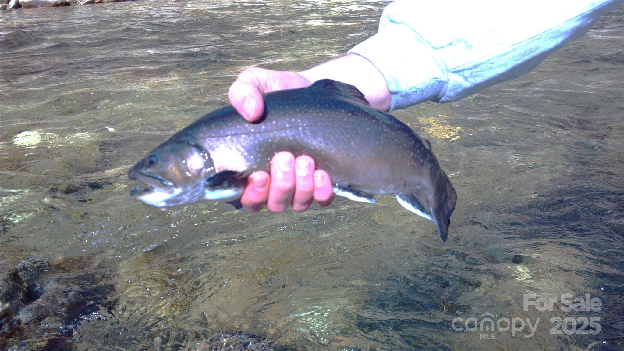 3617 Lonesome Mountain Road Marshall, NC 28753 - Photo 7 of 46 a bathroom with a sink and a mirror