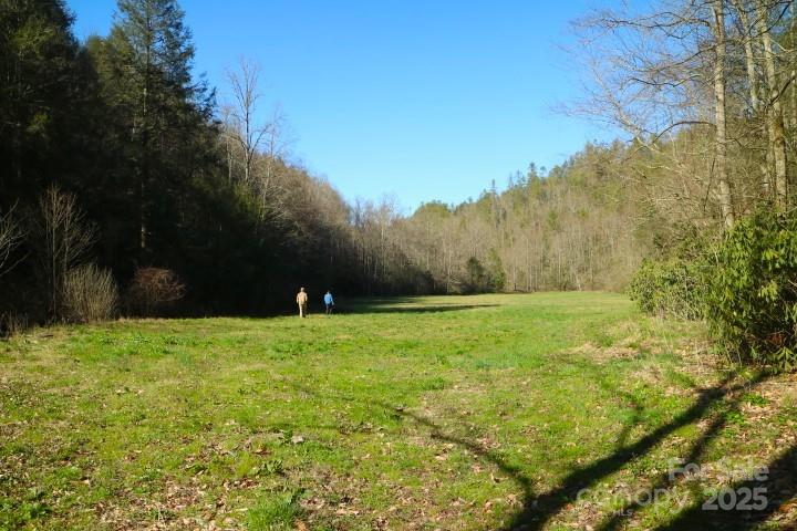 3617 Lonesome Mountain Road Marshall, NC 28753 - Photo 9 of 46 a backyard of a house with lots of green space