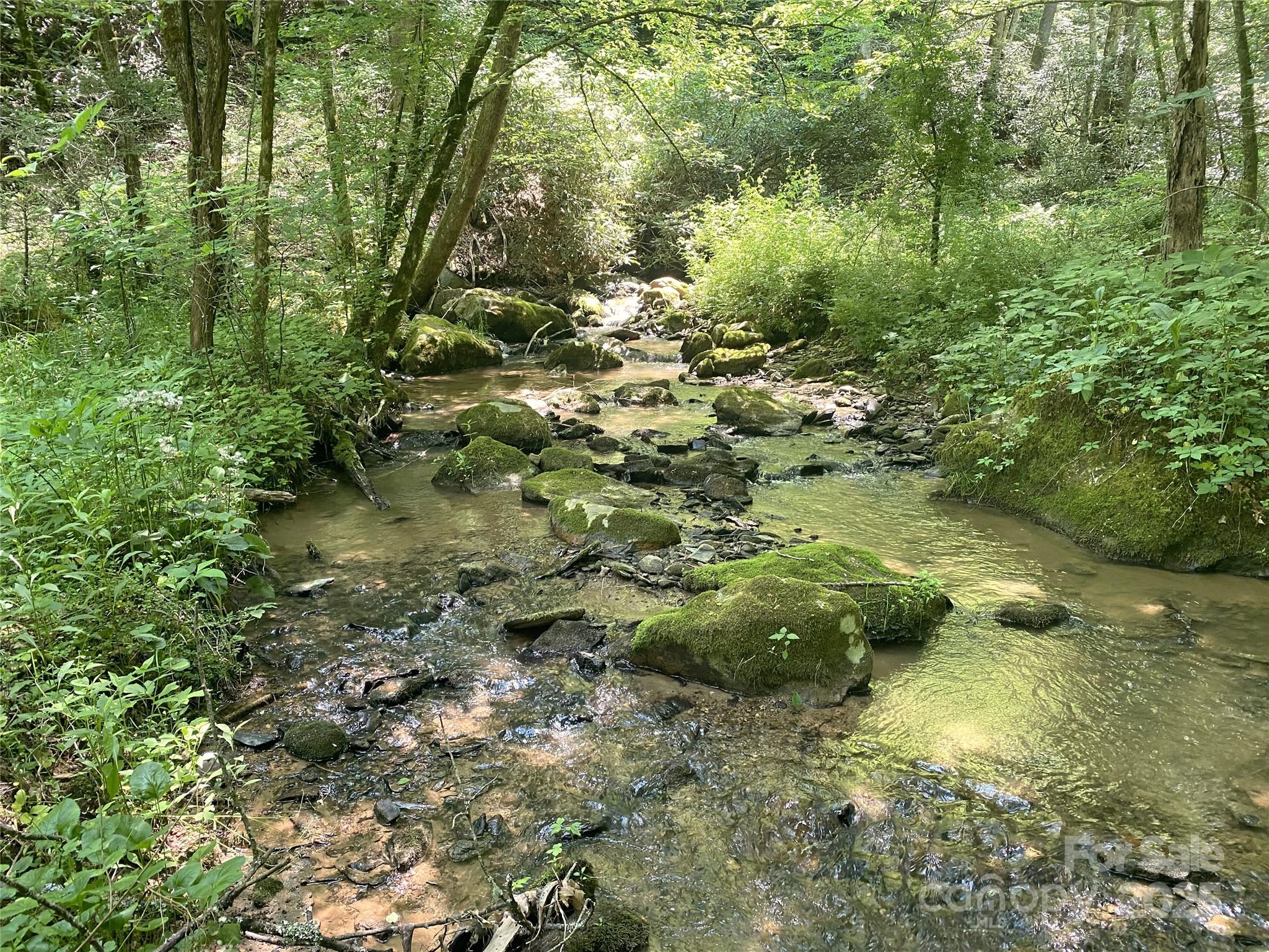3617 Lonesome Mountain Road Marshall, NC 28753 - Photo 10 of 46 a view of a yard