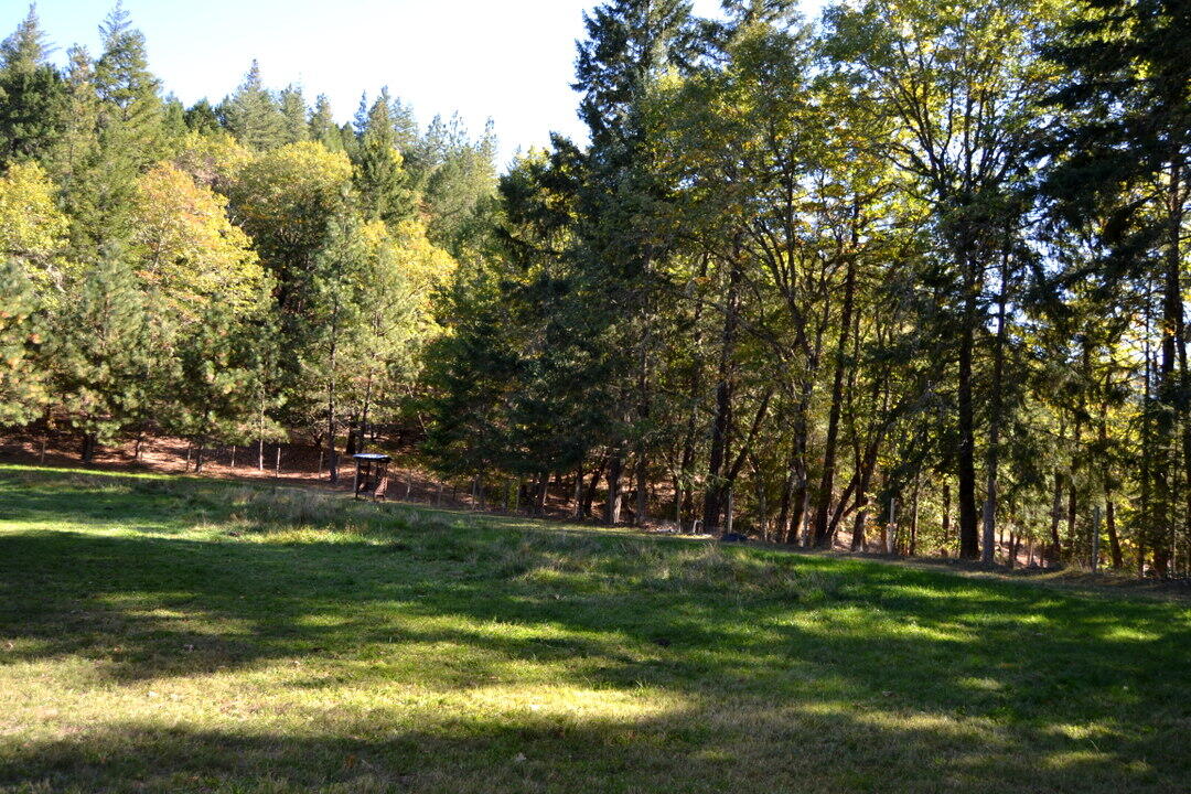 5745 Jerome Prairie Road Grants Pass, OR 97527 - Photo 73 of 79 Riding arena set in a a beautiful country setting of trees.