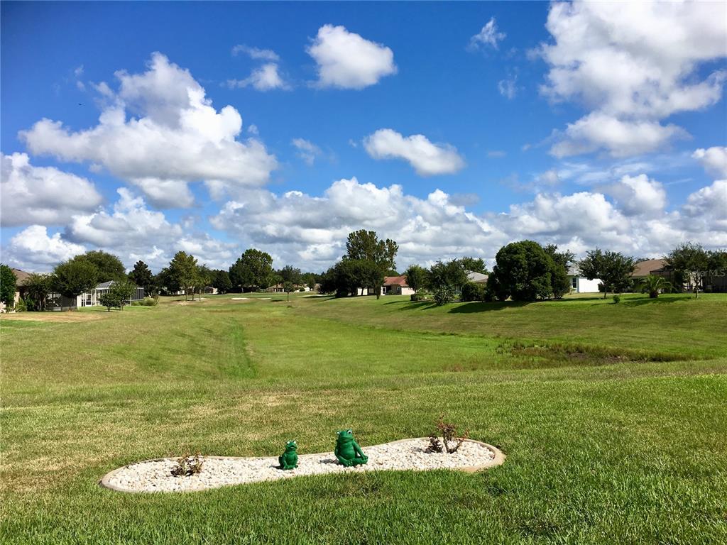 1683 Southwest 156th Lane Ocala, FL 34473 - Photo 38 of 41