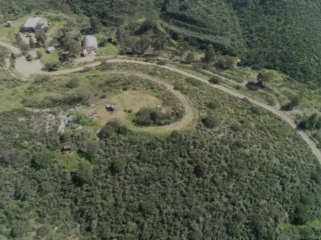 a view of a dry yard with green space