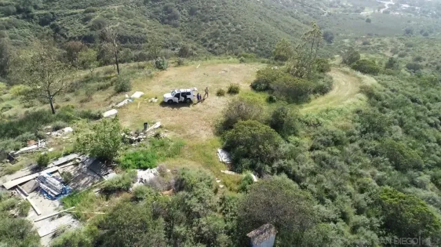 a view of a yard in a forest
