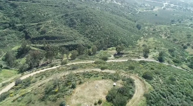a view of a forest with a street