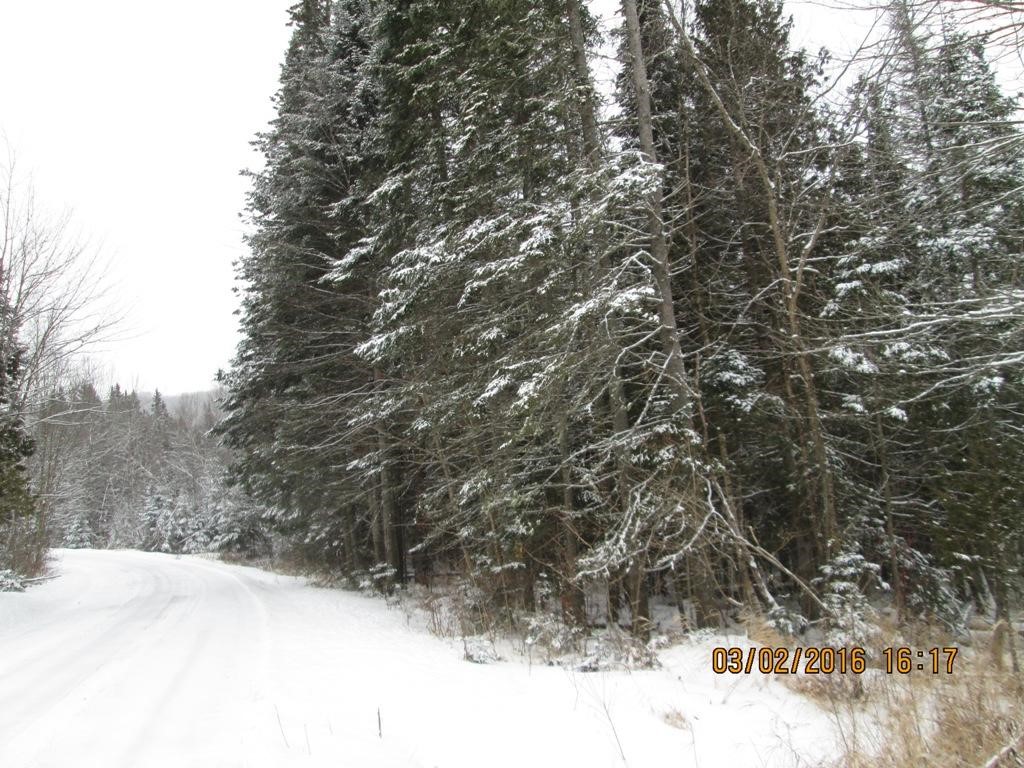 Lot 1 Fund Hill Road Canaan, VT 05903 - Photo 1 of 1