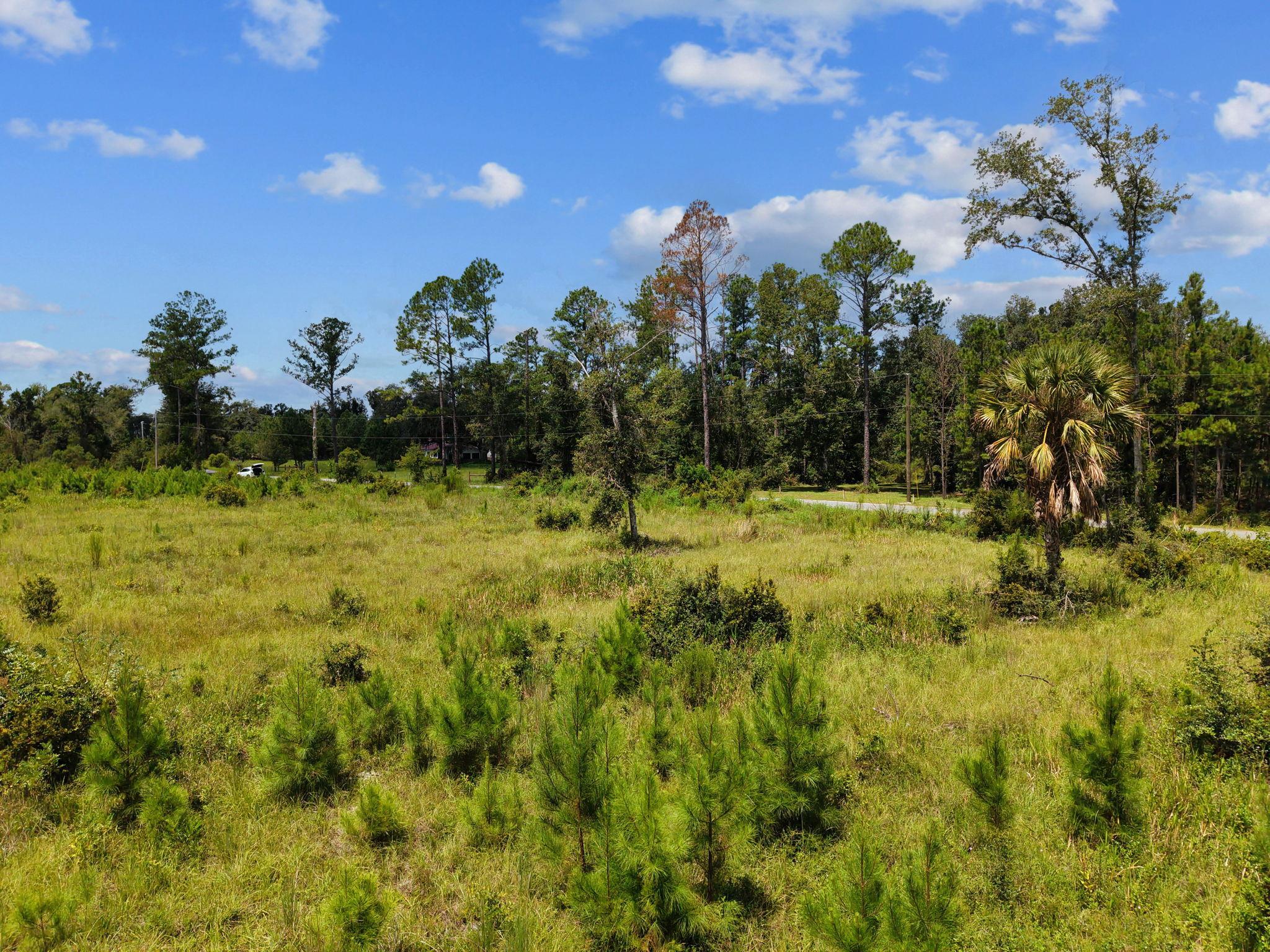 0 West Lyman Hendry Road Perry, FL 32347 - Photo 2 of 18 Gallery Image 2