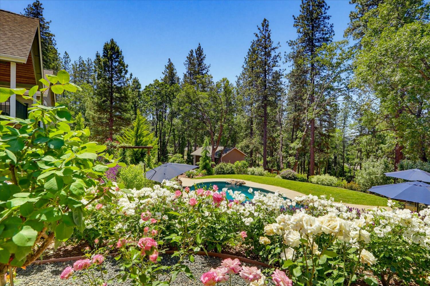 10213 Evergreen Ranch Court Grass Valley, CA 95949 - Photo 79 of 98