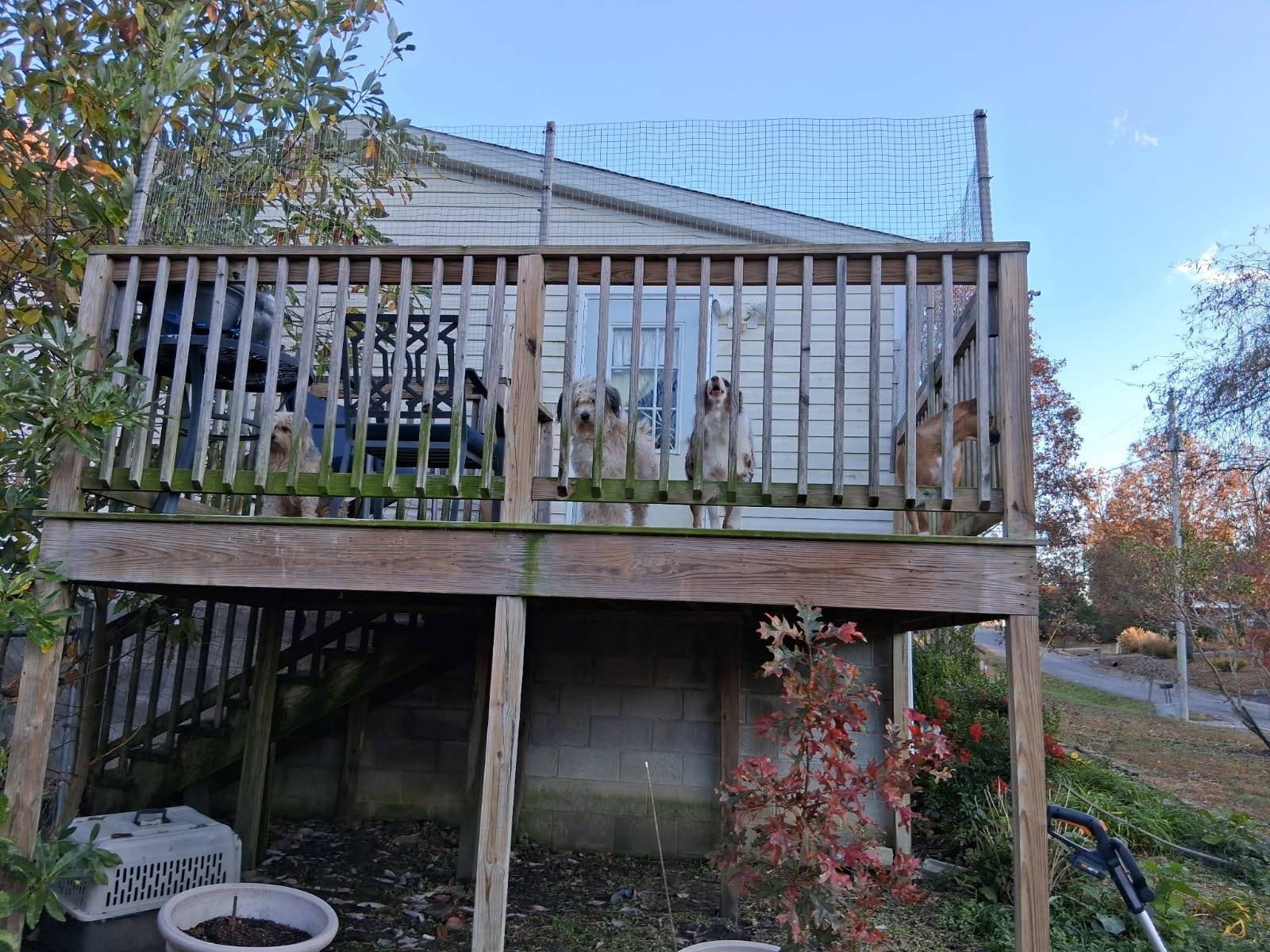 318 Autumn Road Morrison, TN 37357 - Photo 16 of 19