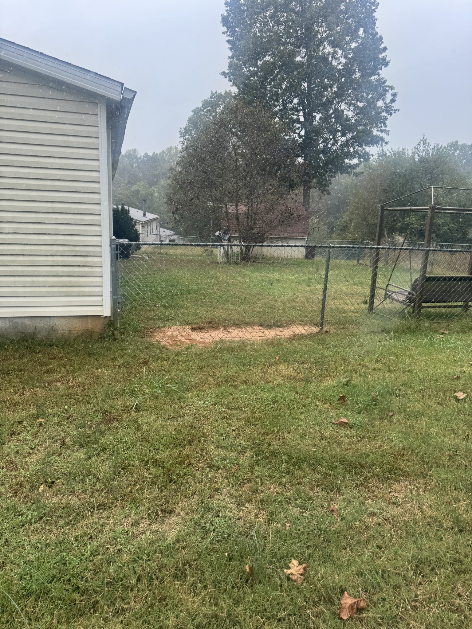 318 Autumn Road Morrison, TN 37357 - Photo 10 of 17 a view of a field with a tree