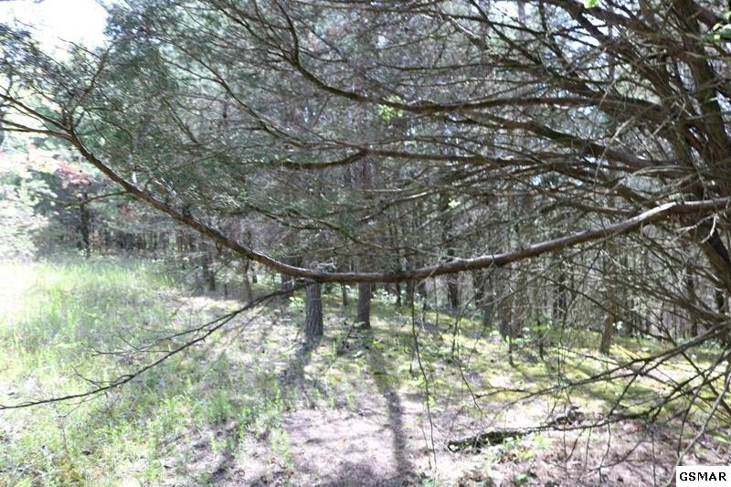 0 Lot 35 Buck Horn Road Sevierville, TN 37876 - Photo 21 of 30