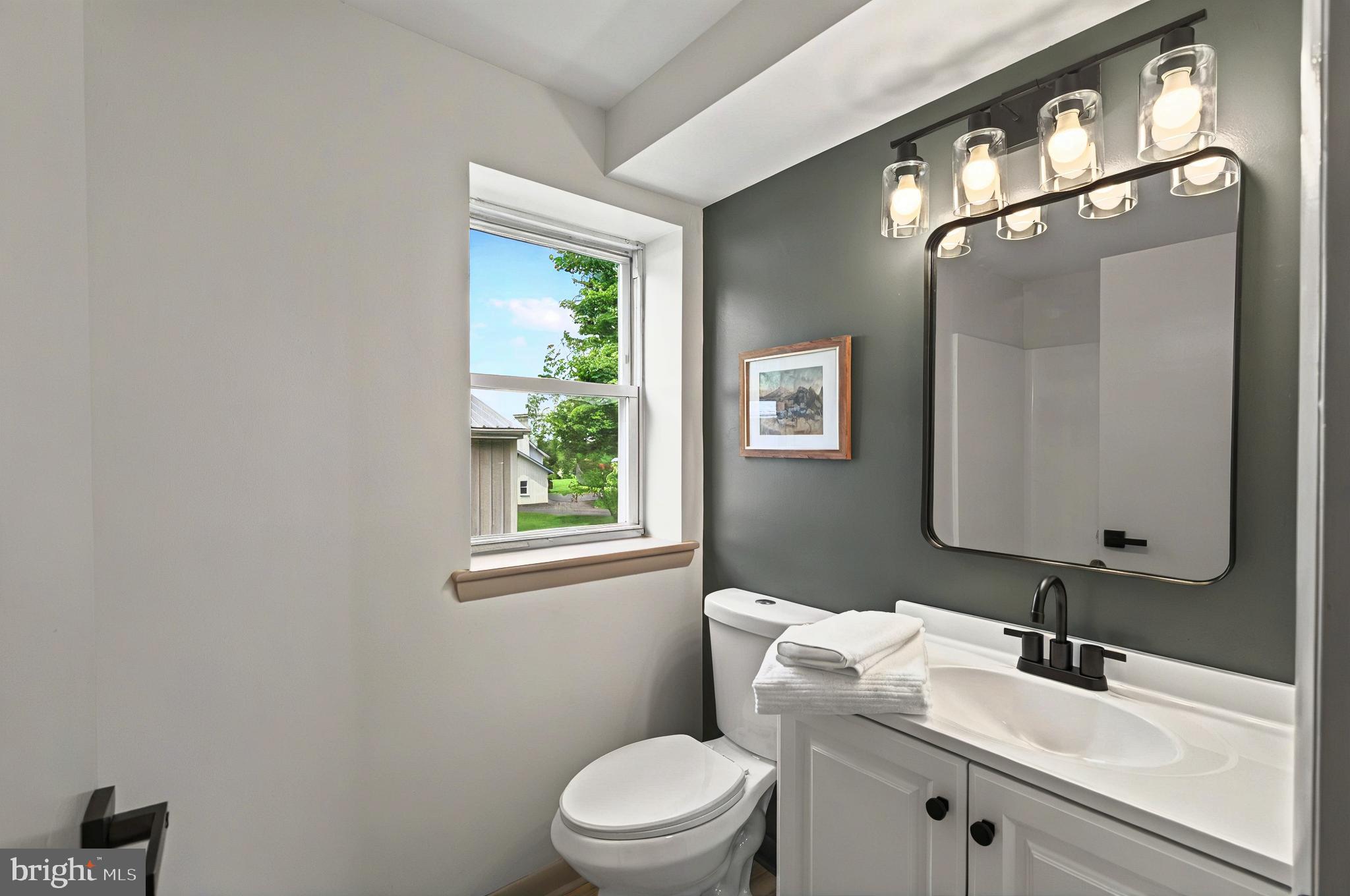 222 Old Racetrack Road Parkesburg, PA 19365 - Photo 13 of 37 a bathroom with a toilet a sink a mirror and a window