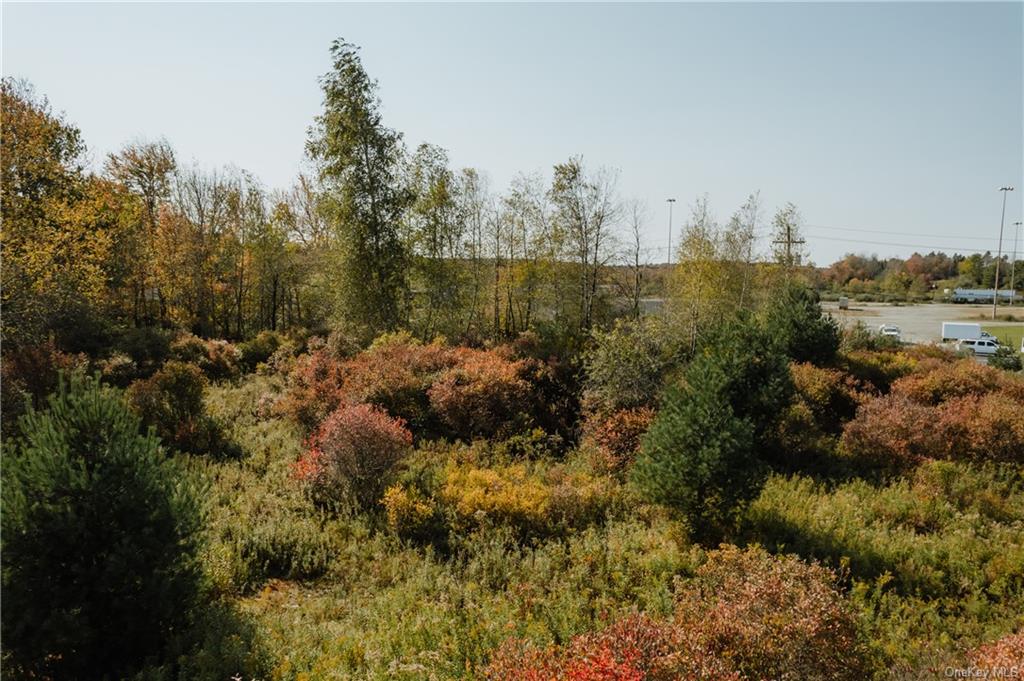 0 Rose Valley Road Monticello, NY 12701 - Photo 7 of 8 a view of a city