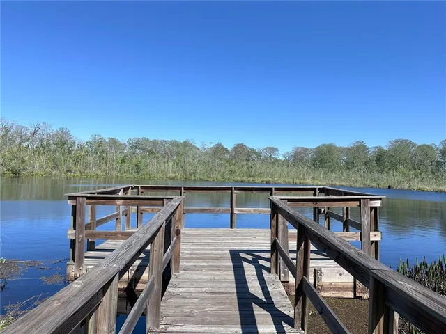 a view of trees and deck in the river