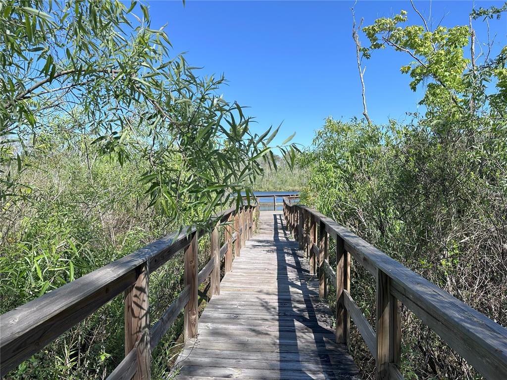 12403 Coralbean Court New Port Richey, FL 34654 - Photo 39 of 39