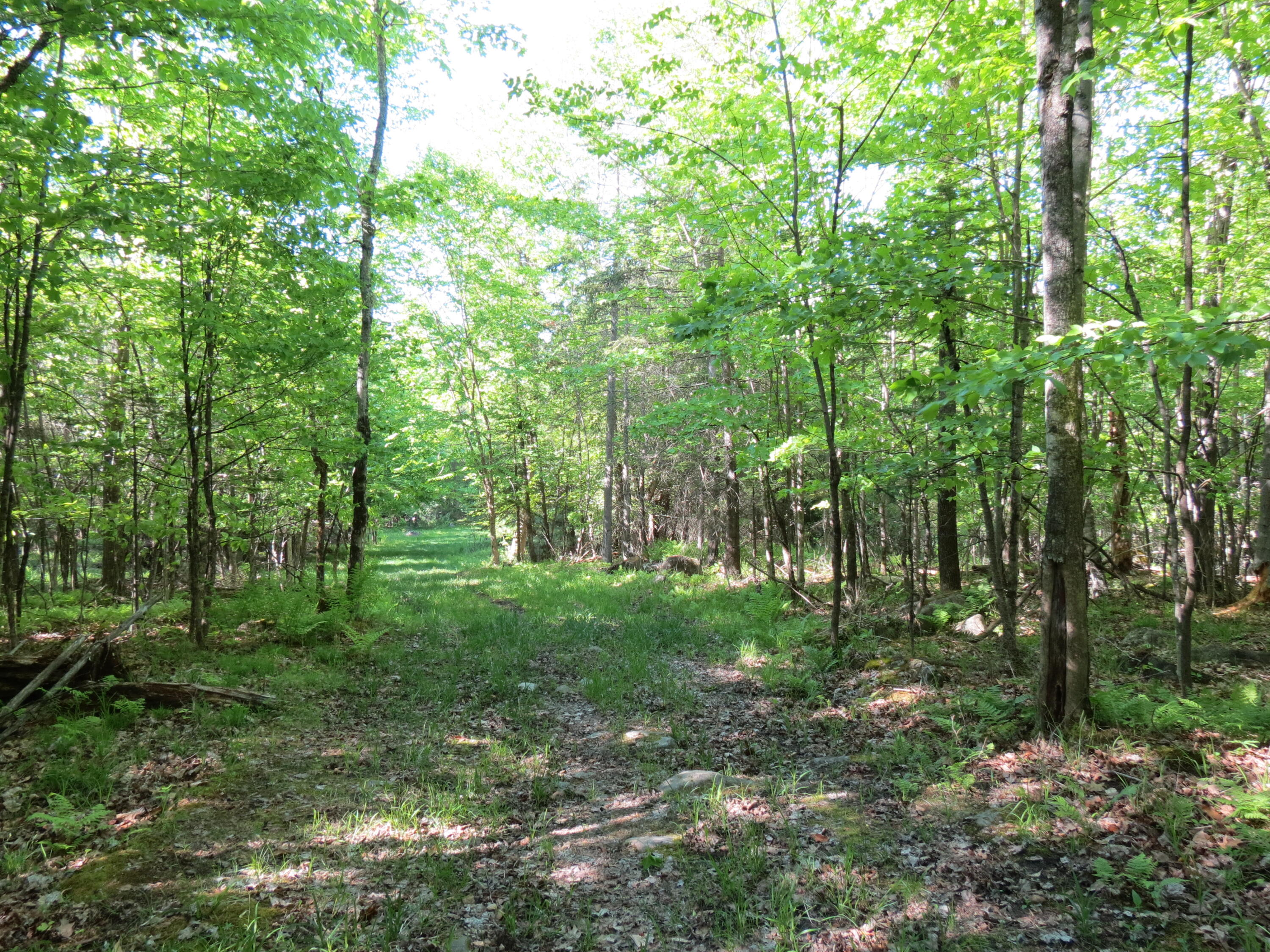 0 Trumbulls Road Upper Jay, NY 12987 - Photo 12 of 22