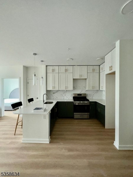 321 East 3rd Street, Unit 209 Plainfield, NJ 07060 - Photo 3 of 13