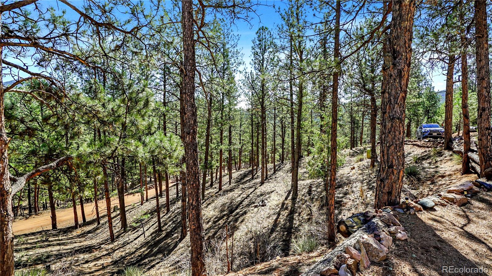 16536 Ouray Road West Pine, CO 80470 - Photo 25 of 35