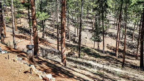 $595,000 | 16536 Ouray Road West, Pine, CO 80470