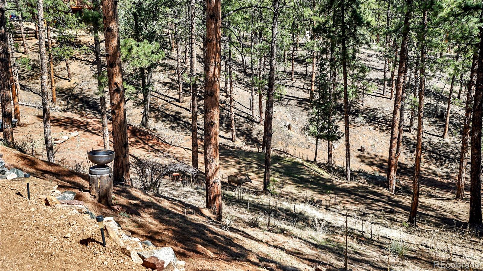 16536 Ouray Road West Pine, CO 80470 - Photo 26 of 35