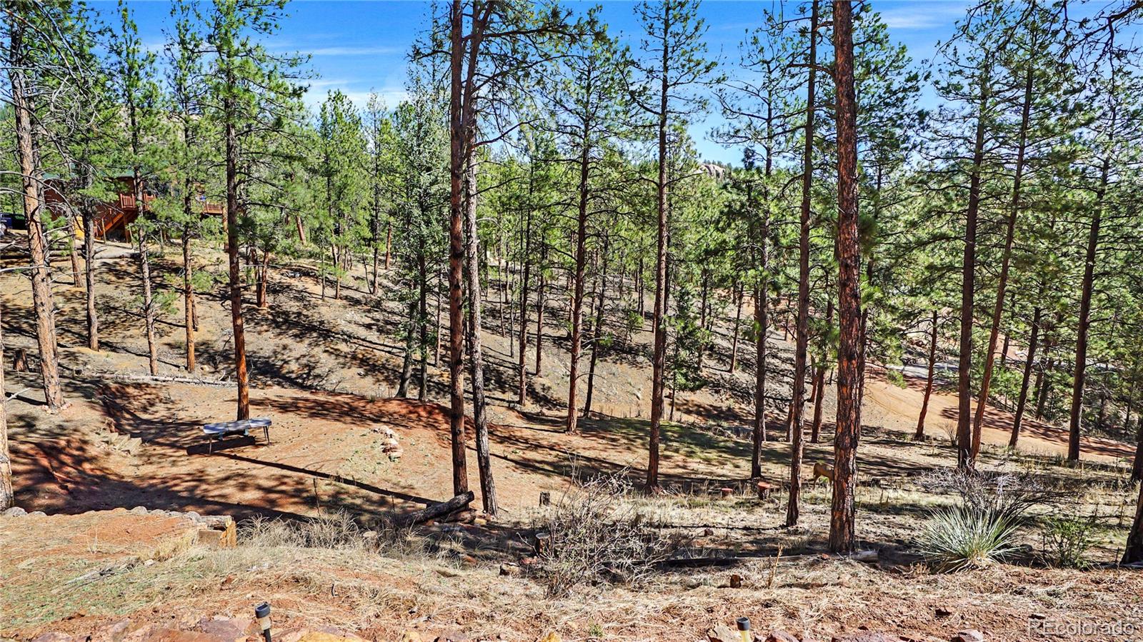 16536 Ouray Road West Pine, CO 80470 - Photo 31 of 35